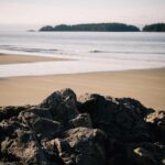 Sonnet 64: When I Have Seen by Time’s Fell Hand Defaced