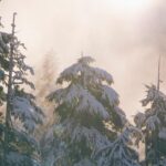 Sonnet 75: So Are You to My Thoughts as Food to Life