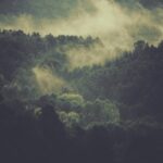 Sonnet 15: When I Consider Every Thing That Grows