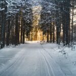 Sonnet 97: How Like a Winter Hath My Absence Been